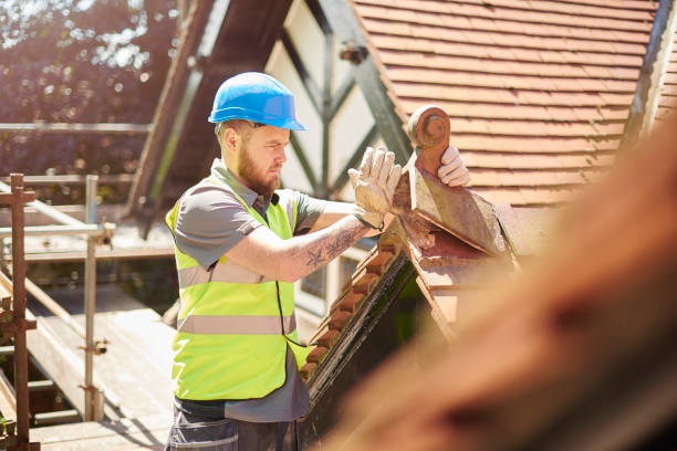 Best Roof Gutter Cleaning  in Zachary, LA